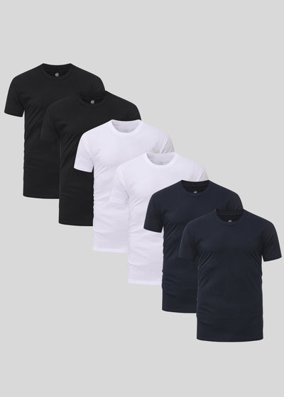 Basis 6er-Pack